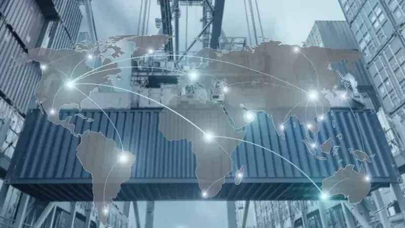 NEEDEX global team and operations