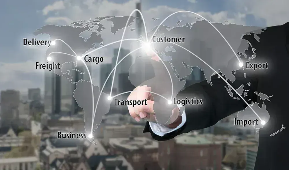NEEDEX global team and operations